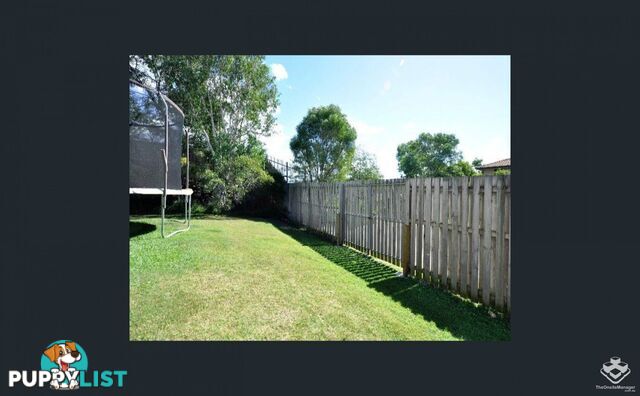 ID:21141810/16 Diploma Road Upper Coomera QLD 4209