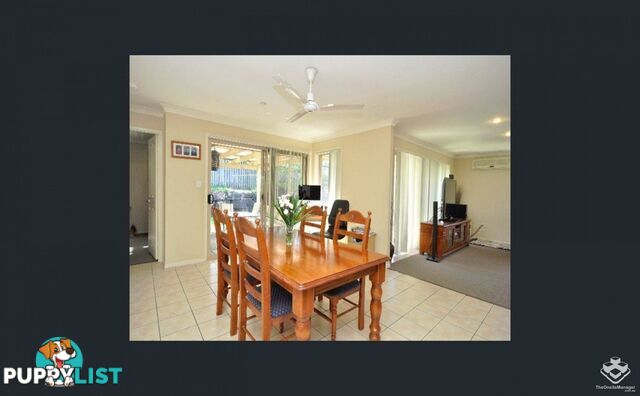 ID:21141810/16 Diploma Road Upper Coomera QLD 4209