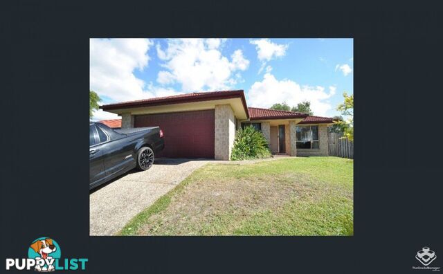 ID:21141810/16 Diploma Road Upper Coomera QLD 4209