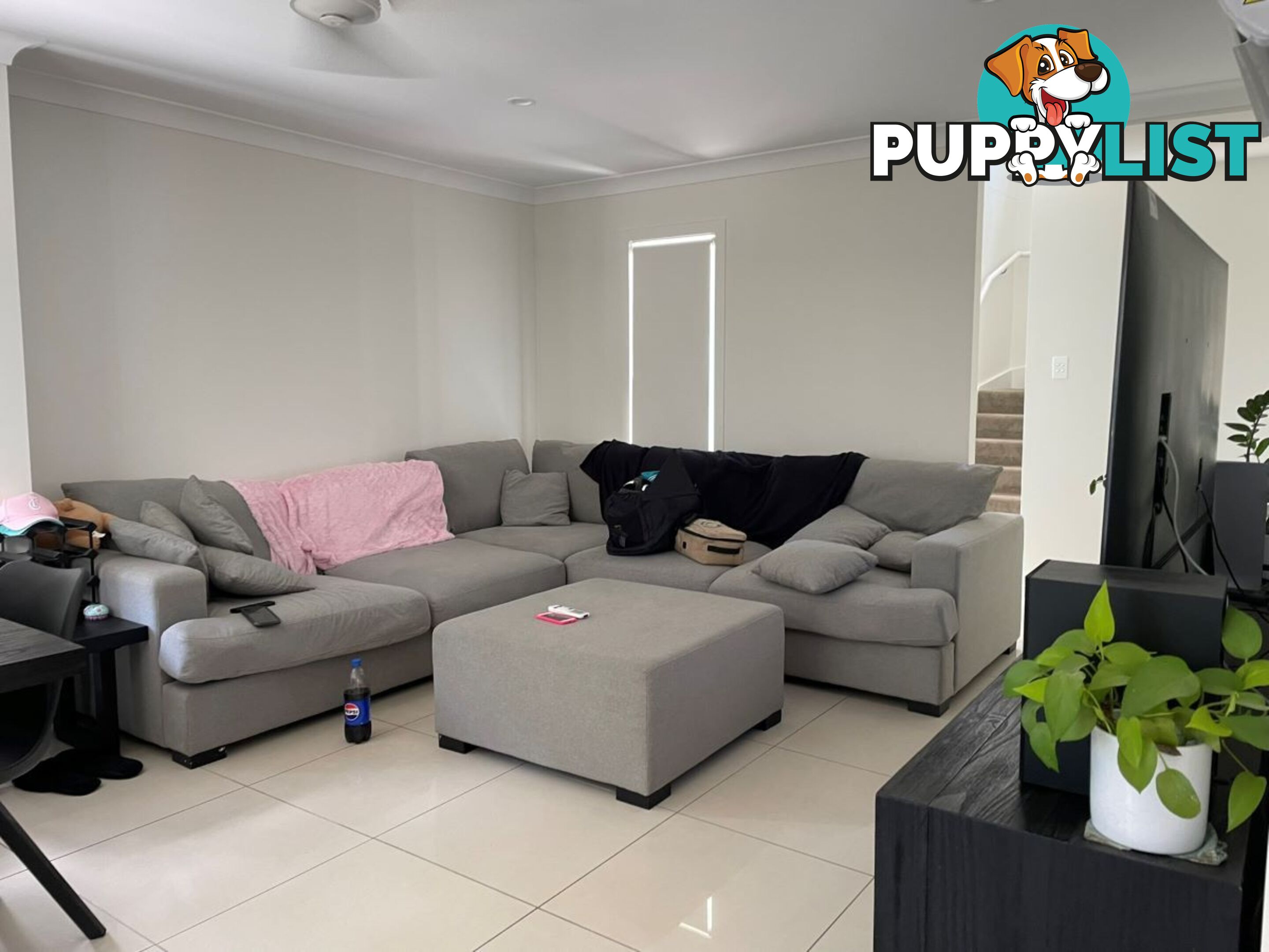 55/13 Angela Way Pimpama QLD 4209