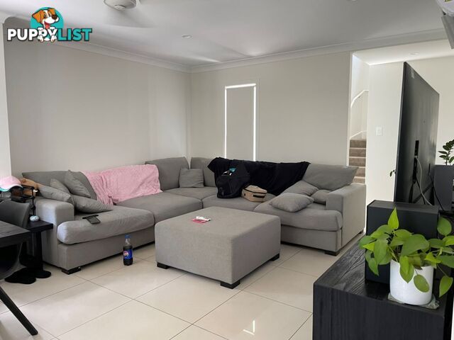 55/13 Angela Way Pimpama QLD 4209