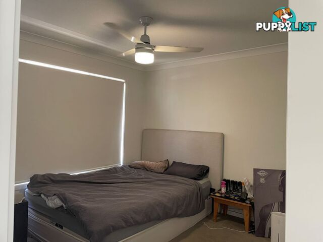 55/13 Angela Way Pimpama QLD 4209