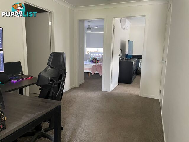 55/13 Angela Way Pimpama QLD 4209