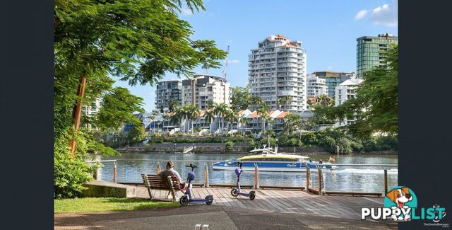 ID:21154607 176 Sydney Street New Farm QLD 4005