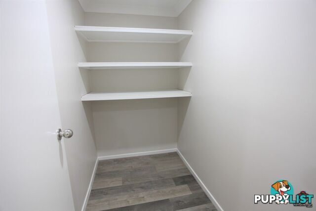 1 Orpheus Road Mermaid Waters QLD 4218