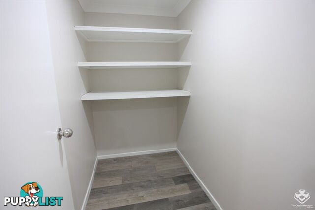 1 Orpheus Road Mermaid Waters QLD 4218