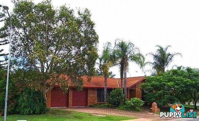1 Orpheus Road Mermaid Waters QLD 4218
