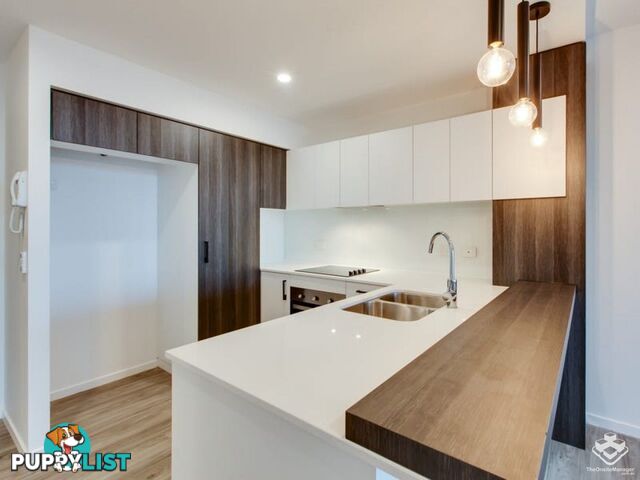 ID:21154141 22 Andrews Street Cannon Hill QLD 4170