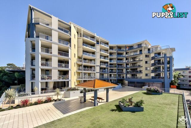 ID:21153731 7 Boyd Street Bowen Hills QLD 4006
