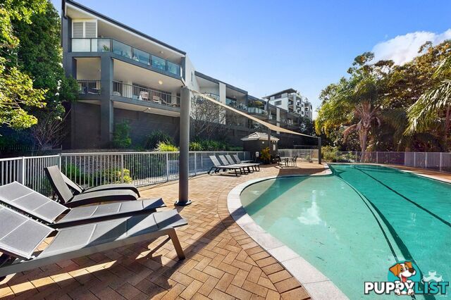 ID:21153731 7 Boyd Street Bowen Hills QLD 4006