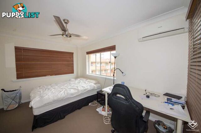 ID:21156701 63 Sherwood Road Toowong QLD 4066