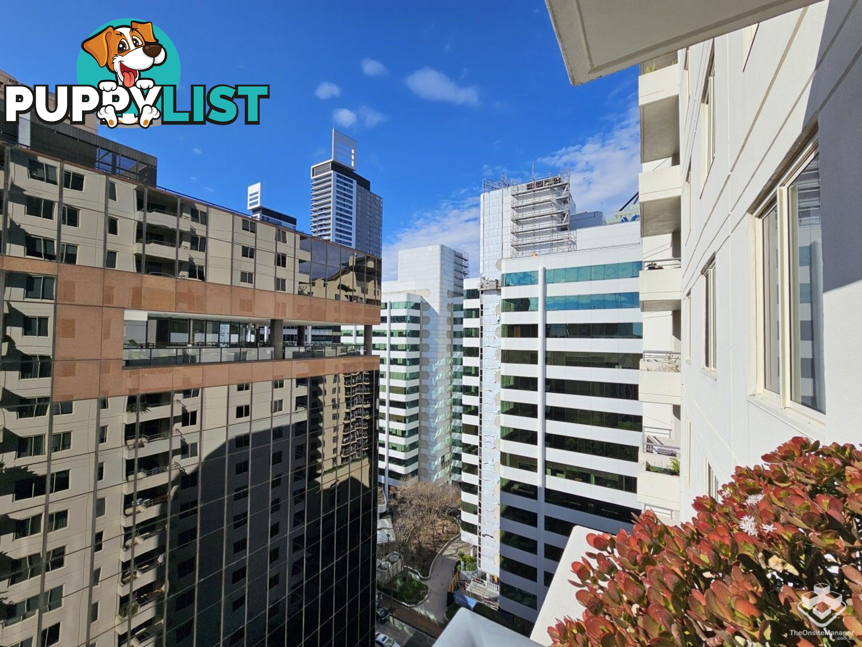 ID:21143690/ 14 Brown Street Chatswood NSW 2067