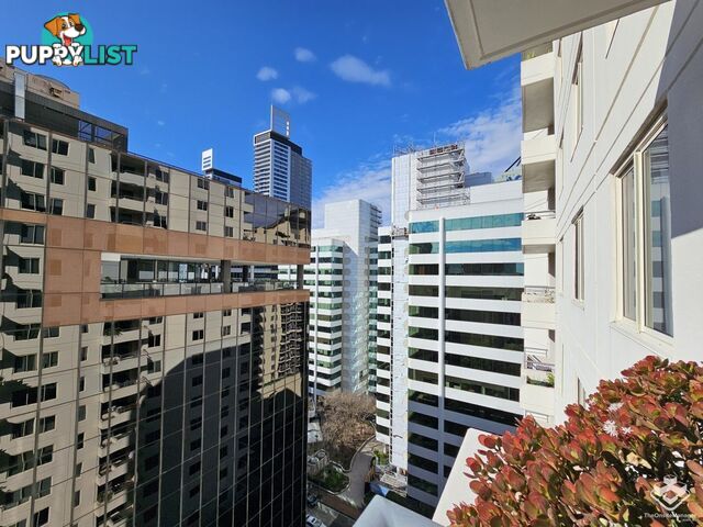 ID:21143690/ 14 Brown Street Chatswood NSW 2067