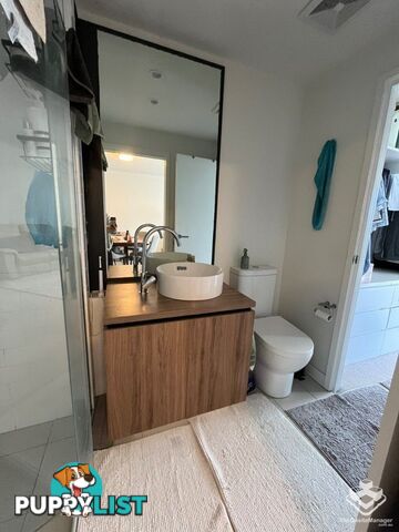 ID:21144832 11 Beesley Street West End QLD 4101