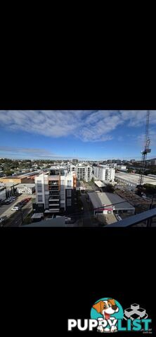 ID:21144832 11 Beesley Street West End QLD 4101
