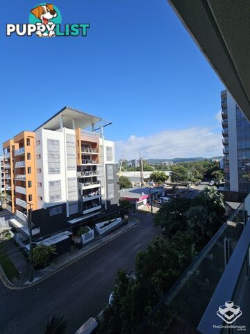 ID:21144832 11 Beesley Street West End QLD 4101