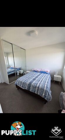 ID:21144832 11 Beesley Street West End QLD 4101