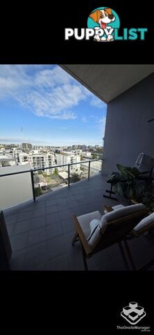 ID:21144832 11 Beesley Street West End QLD 4101