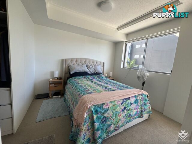 ID:21144832 11 Beesley Street West End QLD 4101