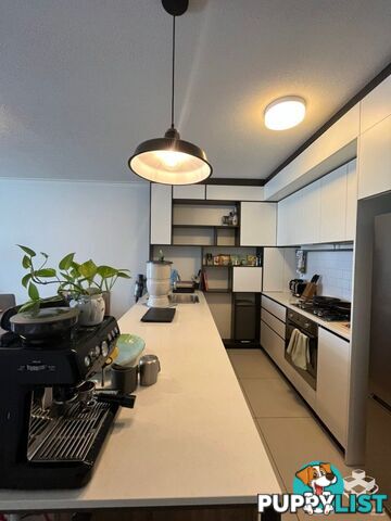 ID:21144832 11 Beesley Street West End QLD 4101