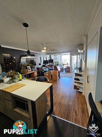 ID:21144832 11 Beesley Street West End QLD 4101