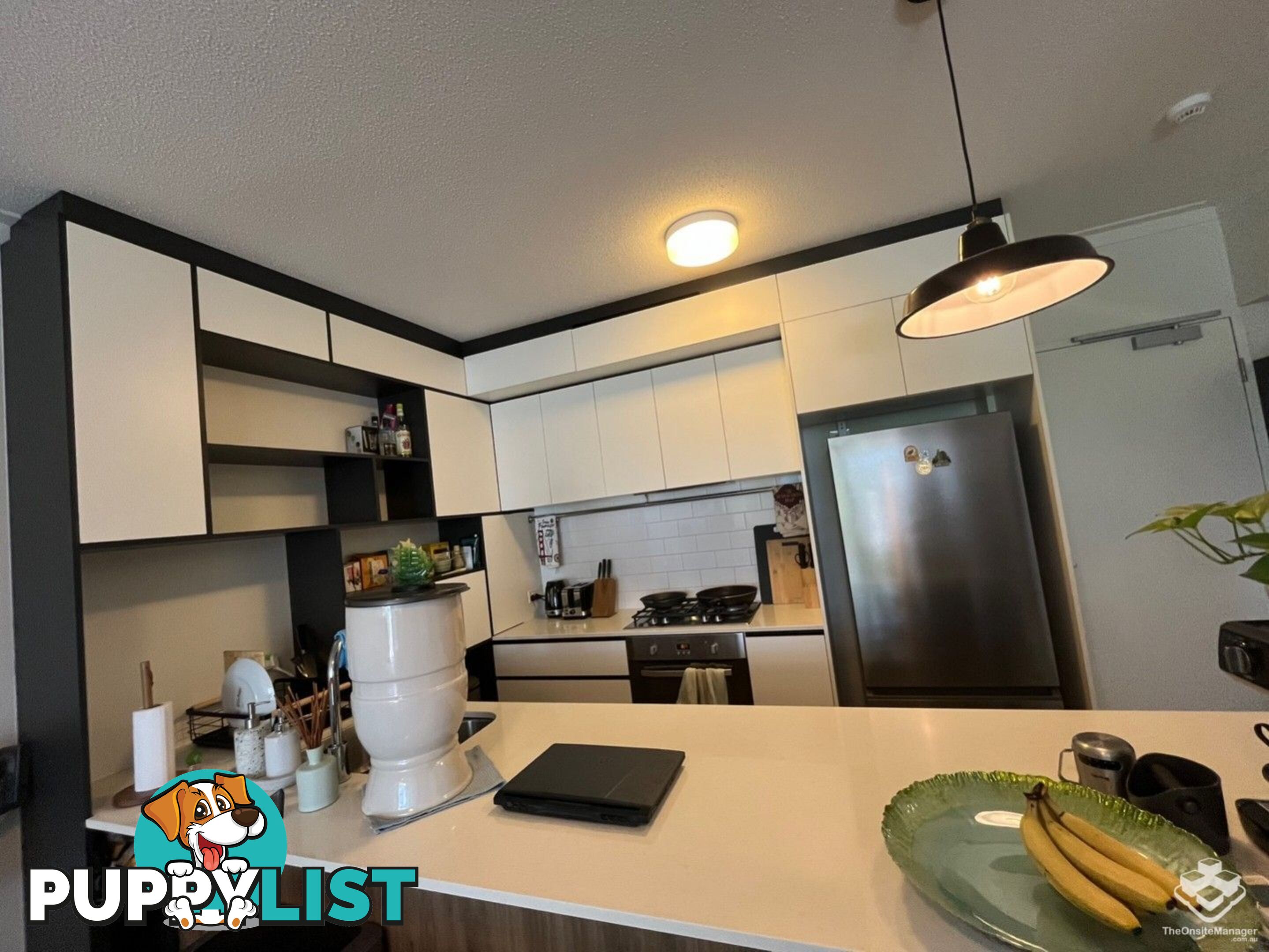 ID:21144832 11 Beesley Street West End QLD 4101