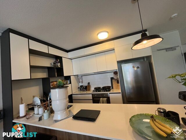 ID:21144832 11 Beesley Street West End QLD 4101