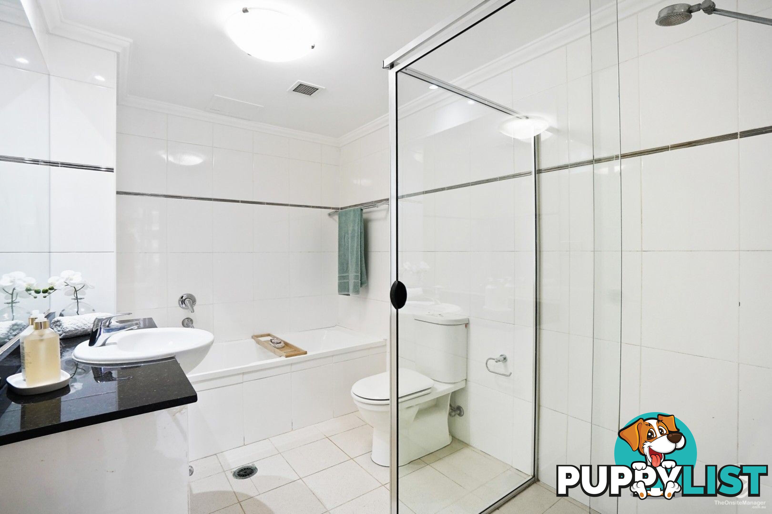44/10 Webb Street Croydon NSW 2132