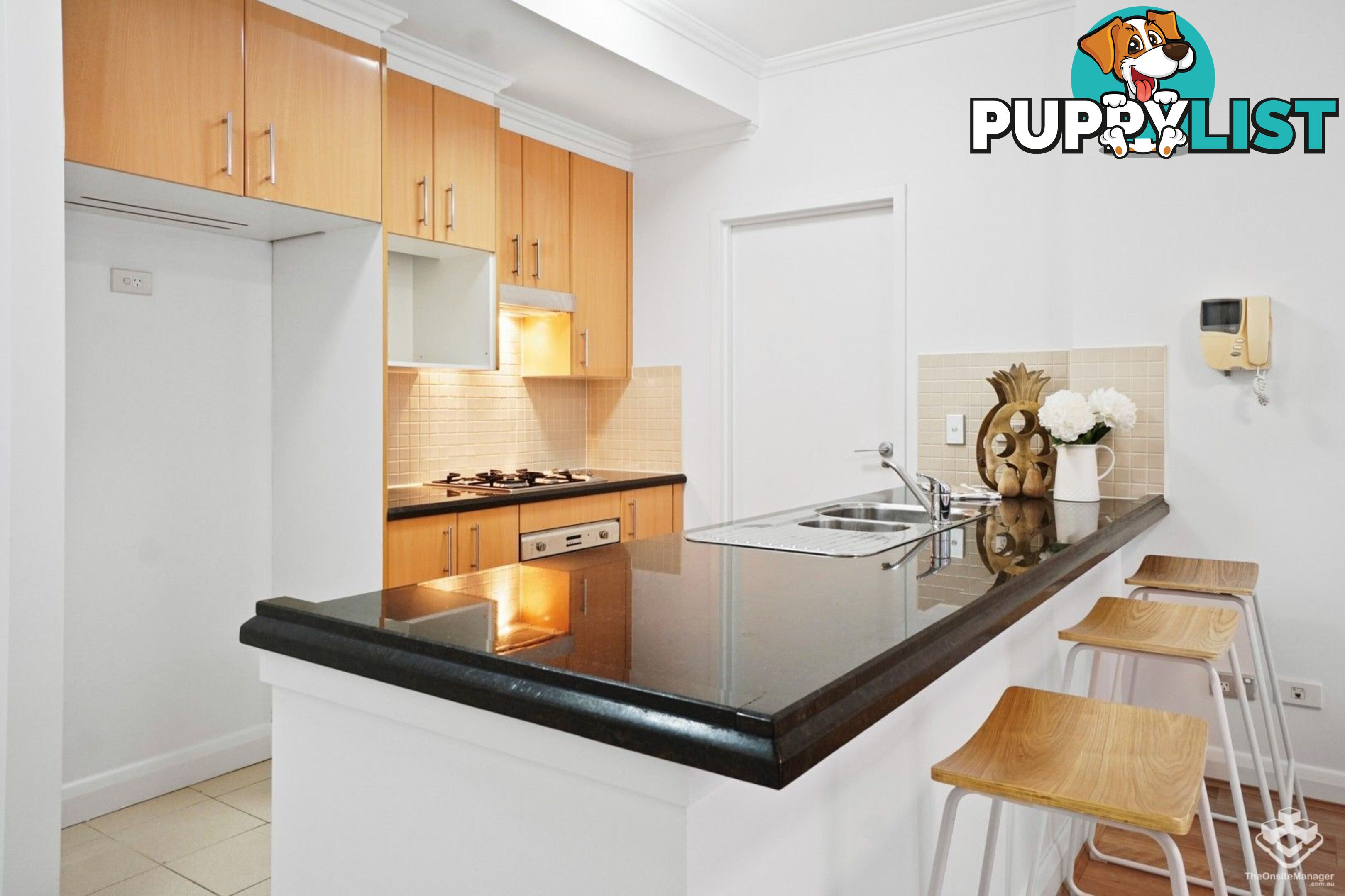 44/10 Webb Street Croydon NSW 2132