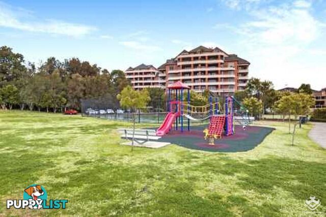 44/10 Webb Street Croydon NSW 2132
