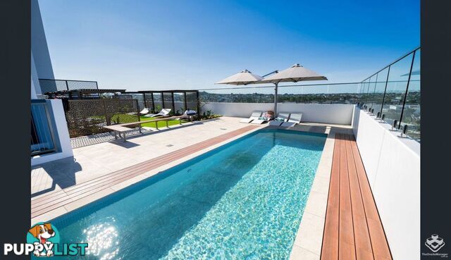 ID:21153218 37 Mayne Road Bowen Hills QLD 4006