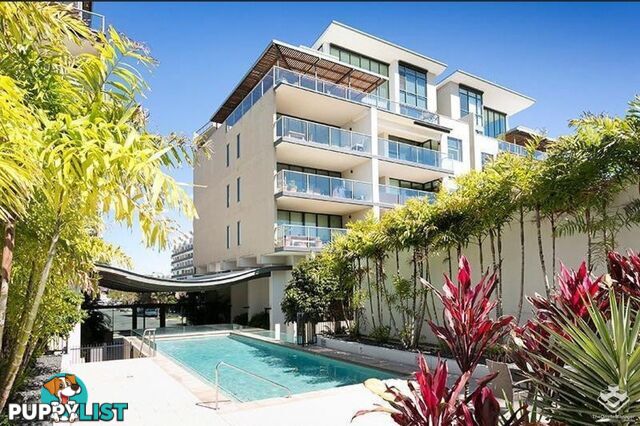 ID:21153115 35 Buchanan Street West End QLD 4101