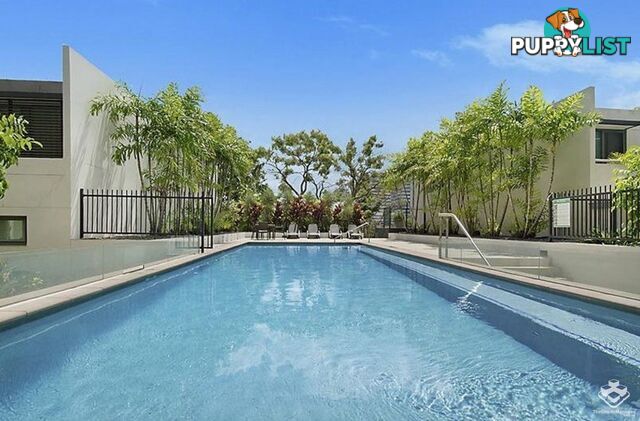 ID:21153115 35 Buchanan Street West End QLD 4101