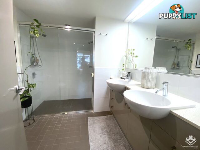 ID:21153115 35 Buchanan Street West End QLD 4101