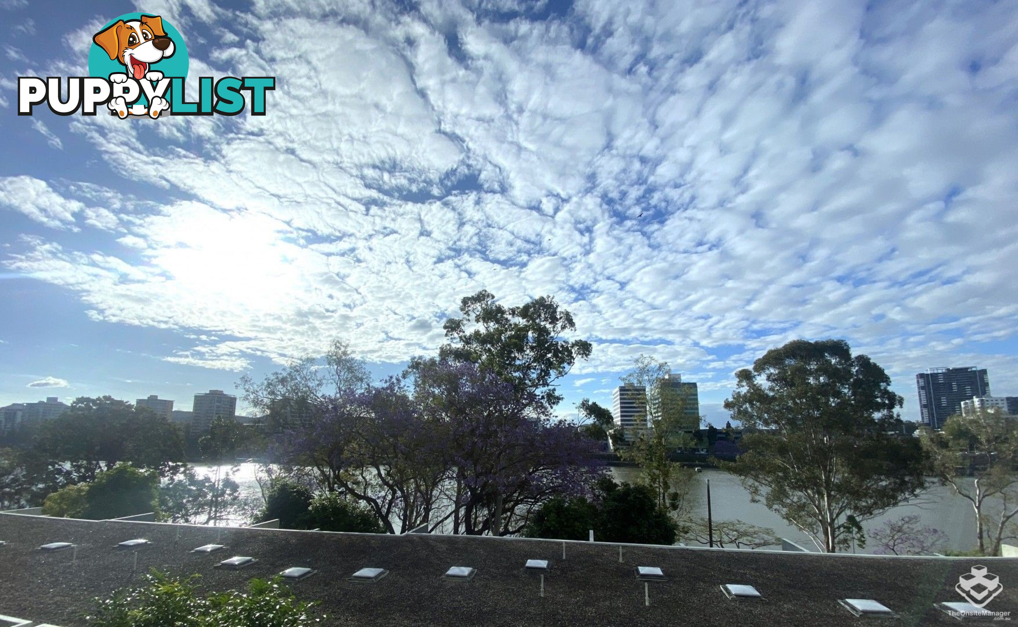 ID:21153115 35 Buchanan Street West End QLD 4101