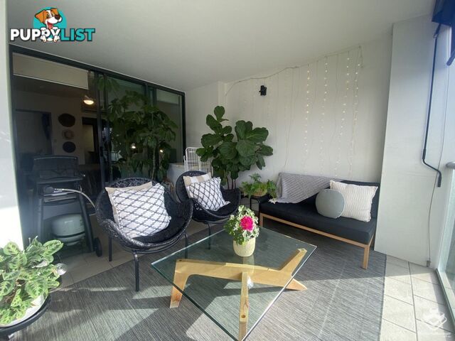 ID:21153115 35 Buchanan Street West End QLD 4101