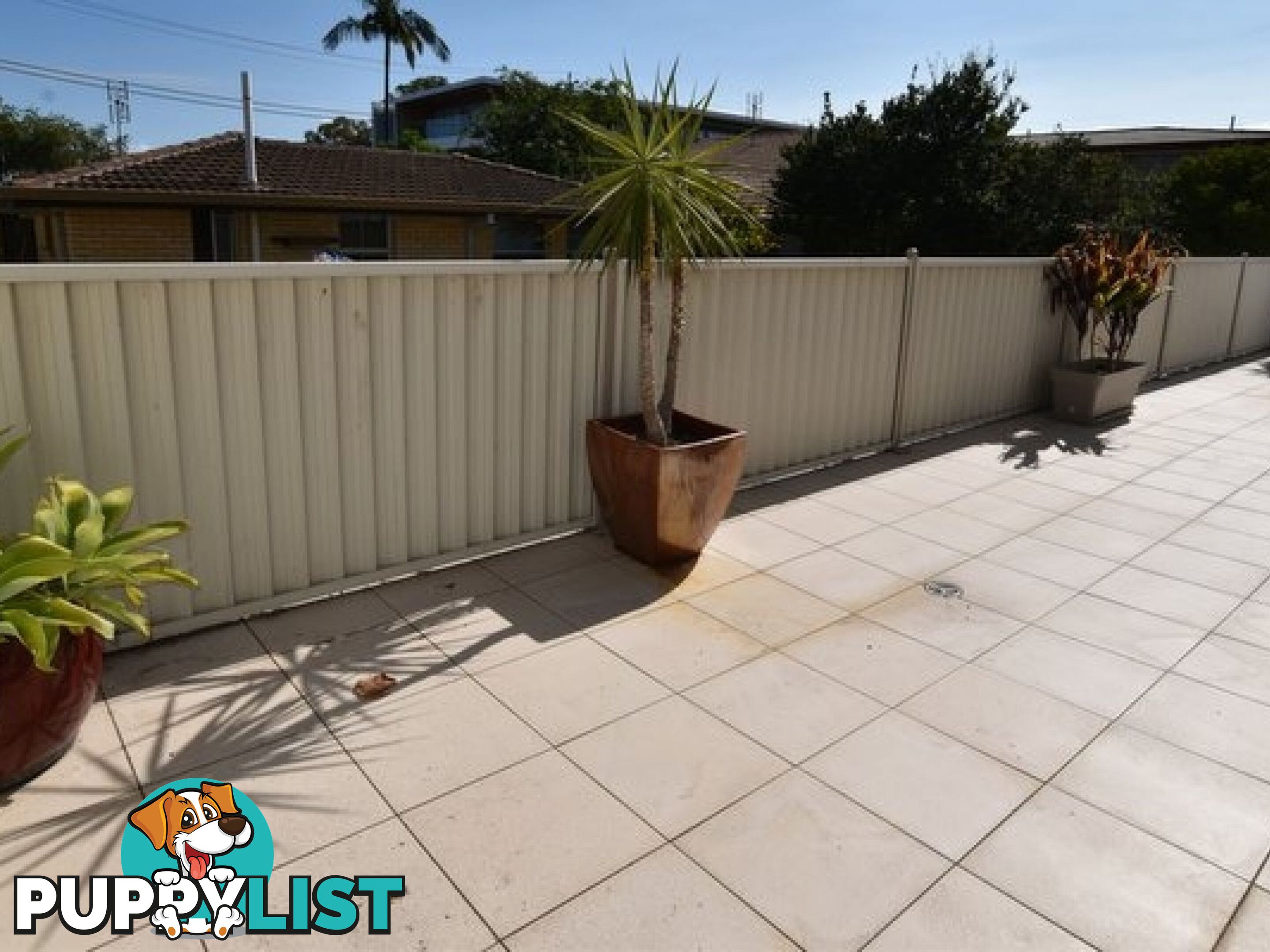 10 Victor Avenue Paradise Point QLD 4216