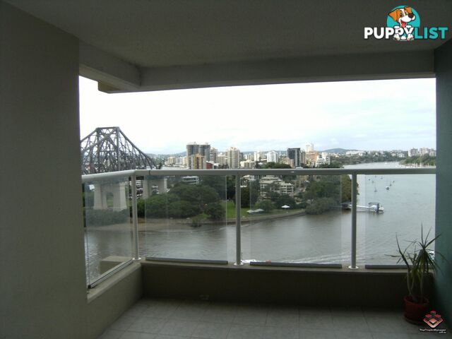 ID:3894318/82 Boundary Street Brisbane City QLD 4000