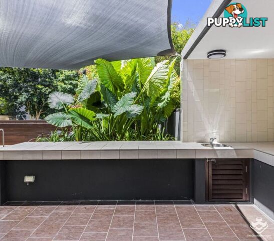 ID:21141891/8 Musgrave Street West End QLD 4101