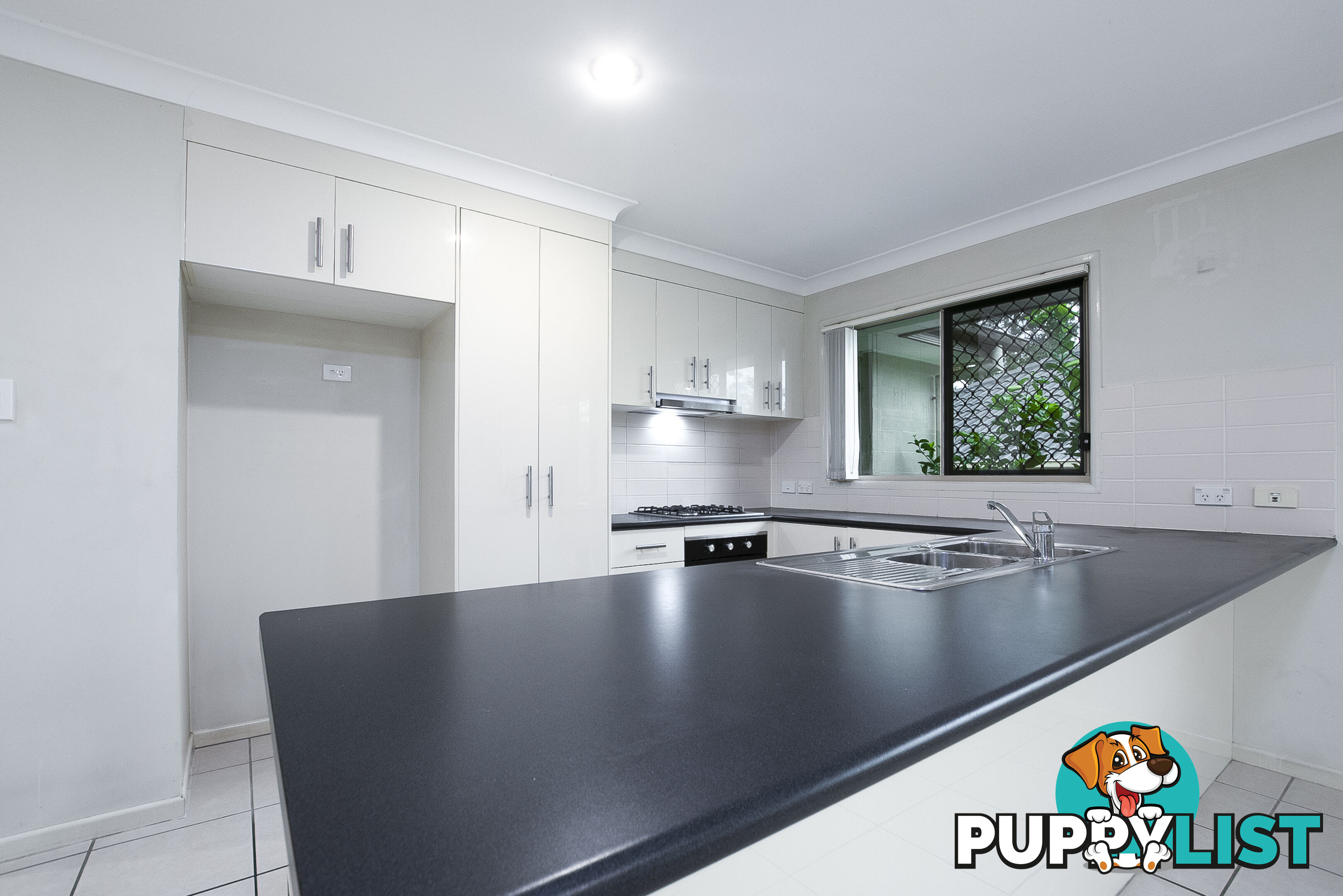 59 Emerald Crescent Springfield QLD 4300