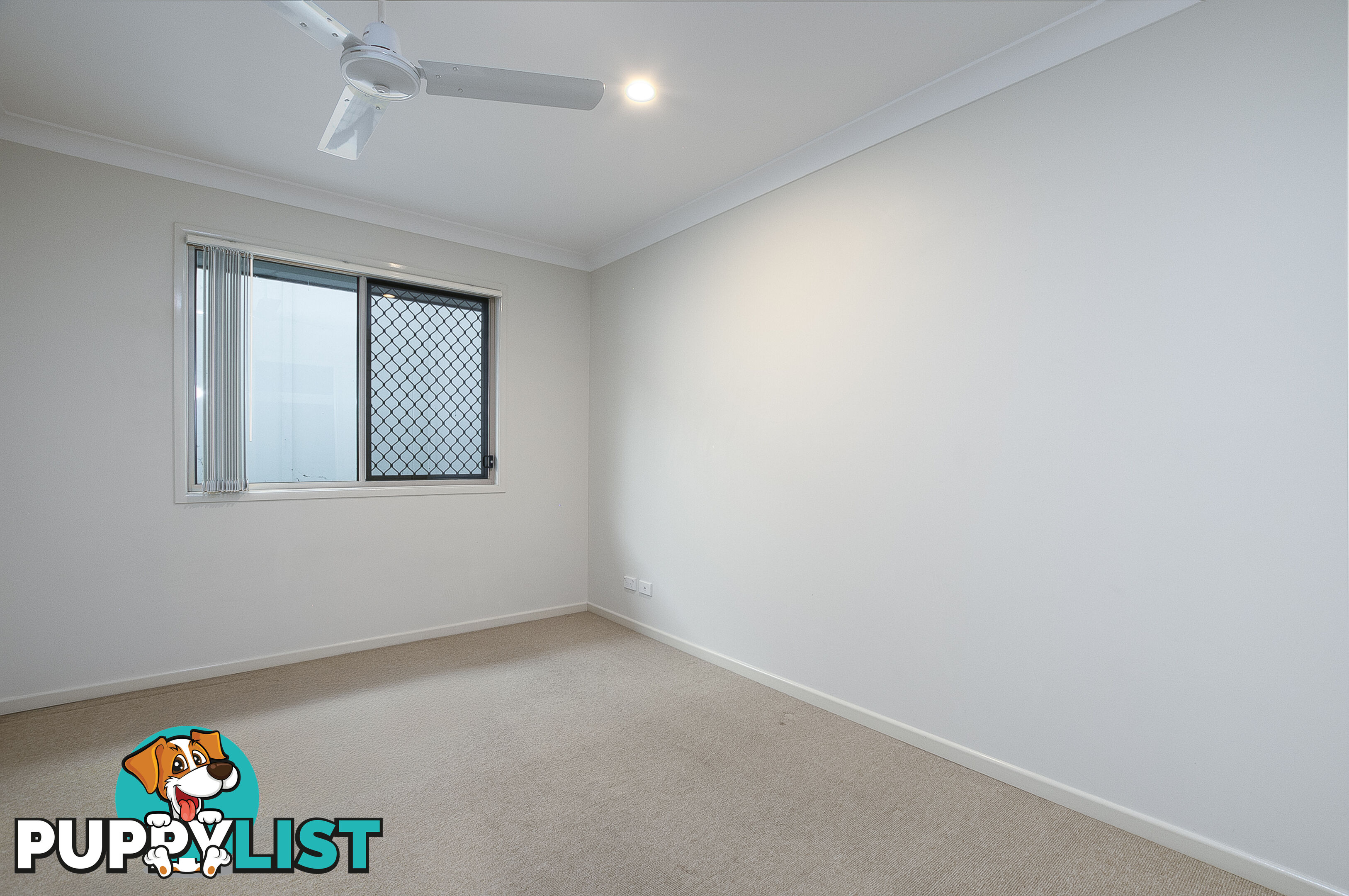59 Emerald Crescent Springfield QLD 4300