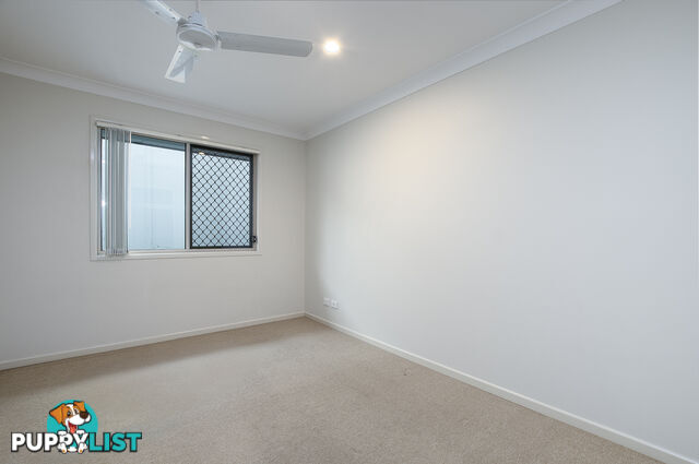 59 Emerald Crescent Springfield QLD 4300