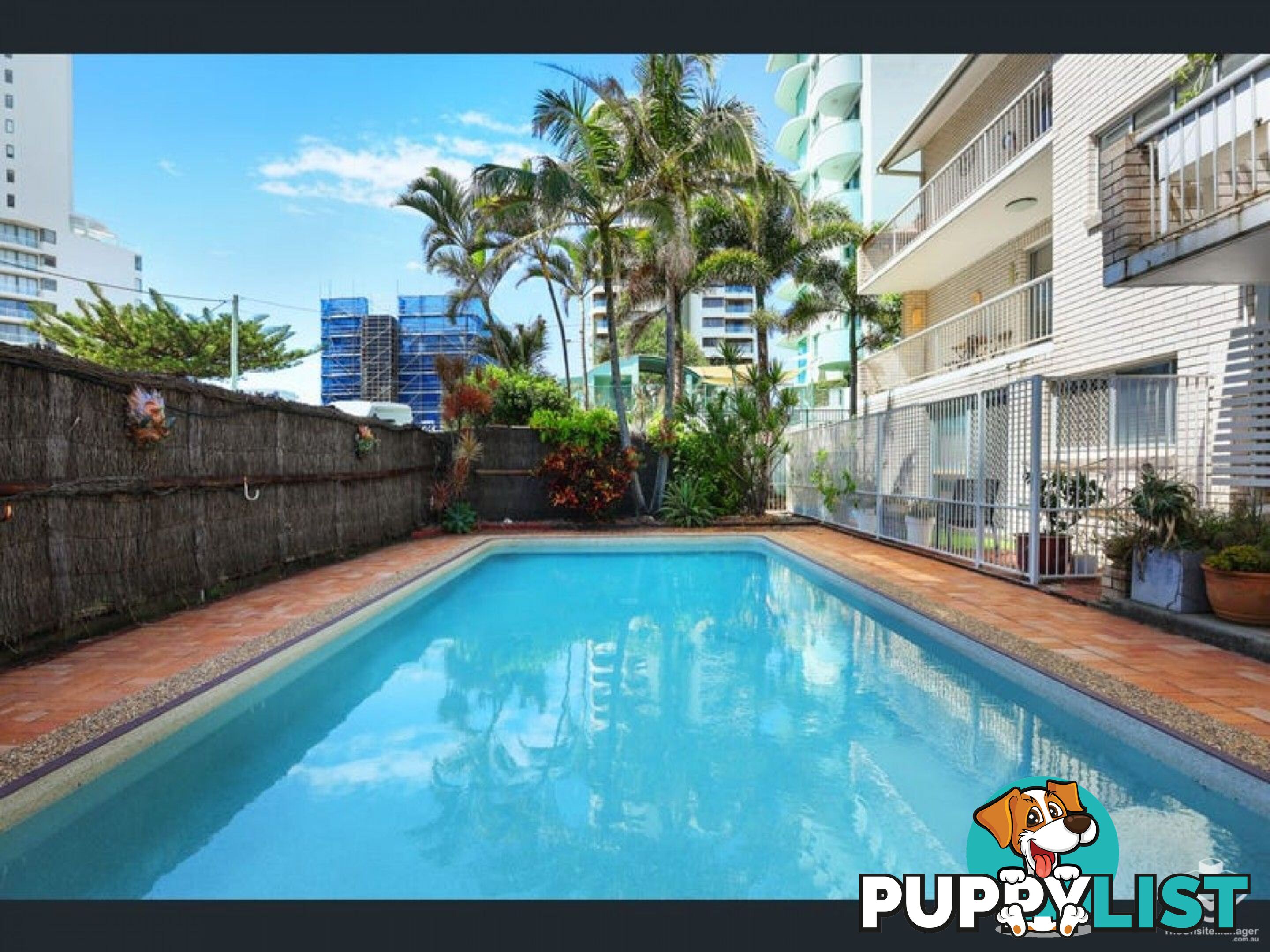 ID:3889720/4 Fern Street Surfers Paradise QLD 4217