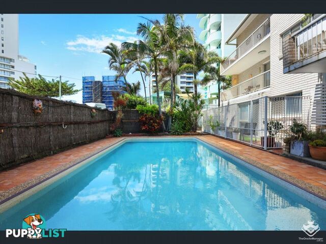 ID:3889720/4 Fern Street Surfers Paradise QLD 4217