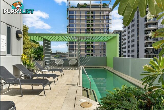 ID:21155826 66 Manning Street South Brisbane QLD 4101