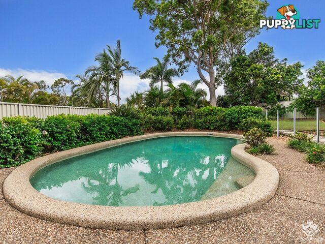 11 Singleton Court Helensvale QLD 4212