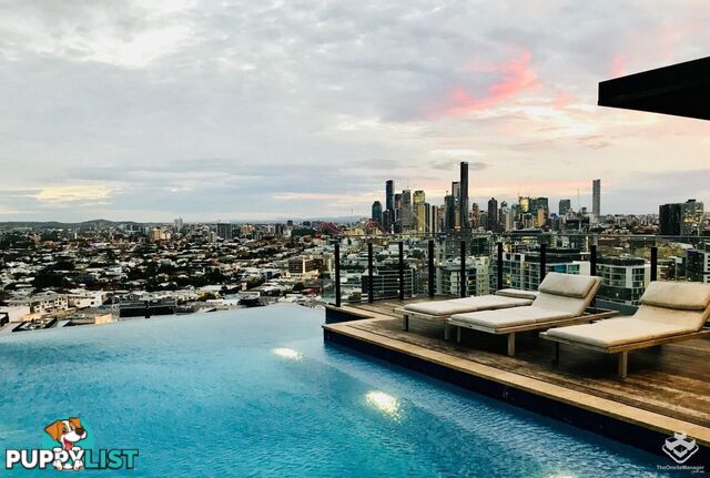 ID:21158198 12 Cunningham Street Newstead QLD 4006