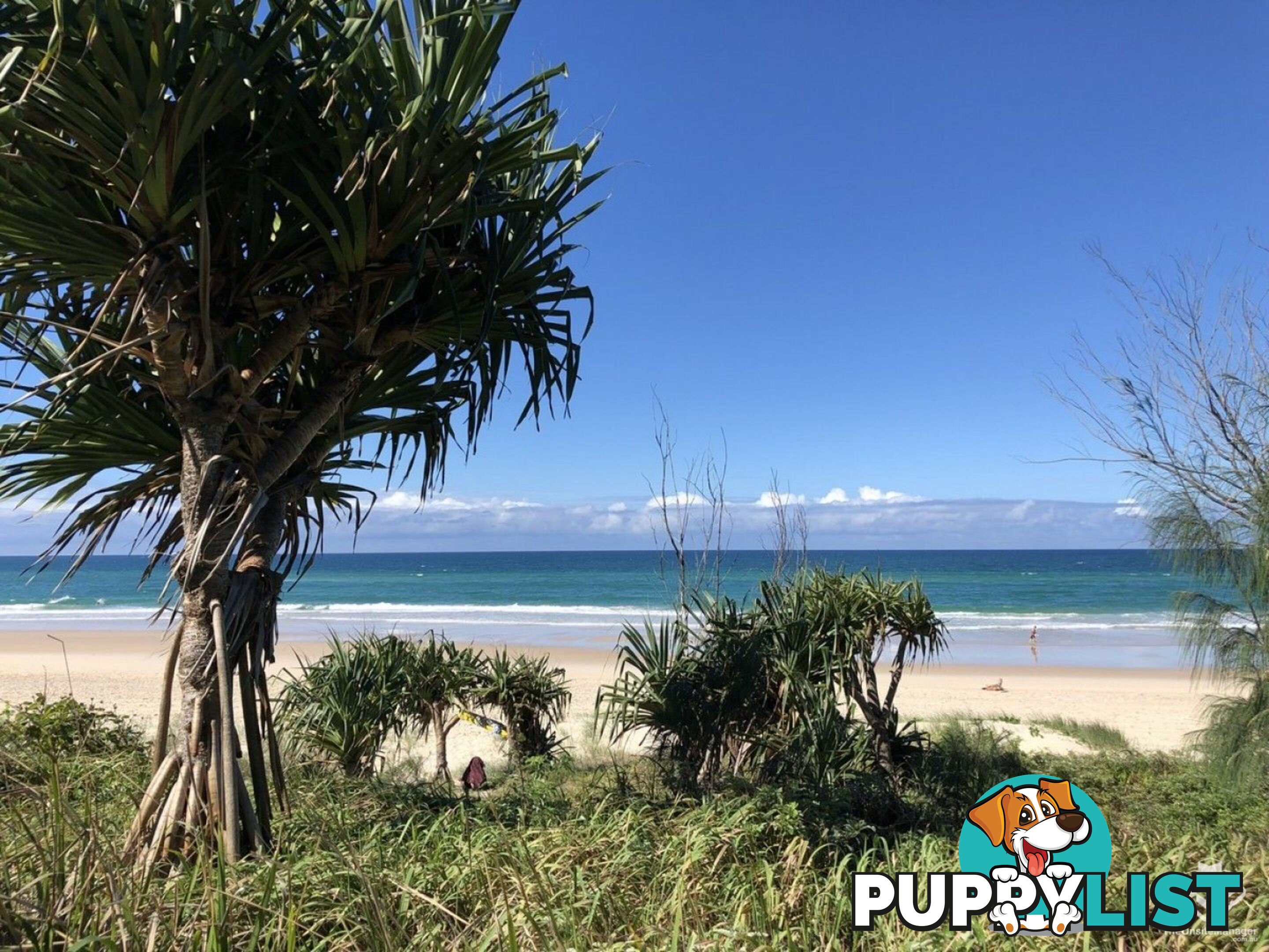 ID:21143471/6 Fifth Avenue Burleigh Heads QLD 4220