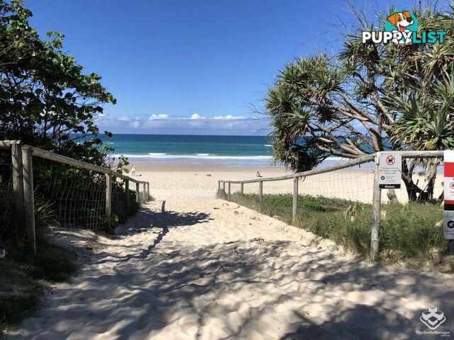 ID:21143471/6 Fifth Avenue Burleigh Heads QLD 4220