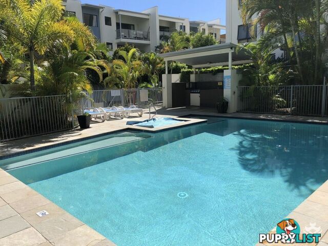 ID:21143471/6 Fifth Avenue Burleigh Heads QLD 4220